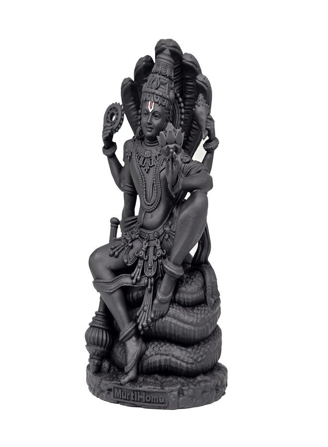 MurtiHome Vishnu Murti مع Sheshnaag، ارتفاع 10.16 سم، أسود، طباعة ثلاثية الأبعاد، راتنج للأشعة فوق البنفسجية، تمثال ديني هندوسي للورد شري هاري ماهافيشنو نارايان - Image 5